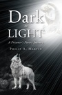 Cover: Dark to Light - Christian Faith Publishing, Inc.