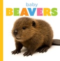 Cover: Baby Beavers - Creative Company