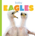 Cover: Baby Eagles - Creative Company