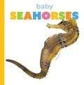 Cover: Baby Seahorses - Creative Company