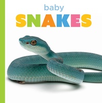 Enlarge image Cover: Baby Snakes - Creative Company