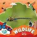 Cover: Wildlife on the Wing - North Star Editions
