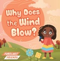 Cover: Why Does the Wind Blow? - North Star Editions