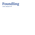 Cover: Foundling - Neuer Berliner Kunstverein