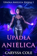 Cover: Upadla anielica - Shenanigans