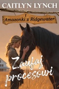 Cover: Zaufaj procesowi - Shenanigans