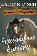 Cover: Przelamywac bariery - Shenanigans