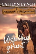 Cover: Wsp&oacute;lny grunt - Shenanigans