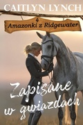 Cover: Zapisane w gwiazdach - Shenanigans