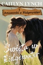 Cover: Swieta w Ridgewater - Shenanigans