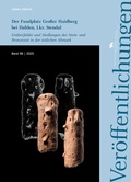 Cover: Der Fundplatz Gro&szlig;er Haidberg bei Dahlen, Lkr. Stendal (Ver&ouml;ffentlichungen des Landesamtes f&uuml;r Denkmalpflege und Arch&auml;ologie 98) - Landesamt f. Denkmalpflege u. Arch&auml;ologie Sachsen-Anhalt
