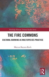 Enlarge image Cover: The Fire Commons - Routledge