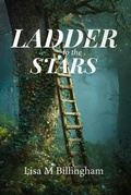 Cover: Ladder to the Stars - Lisa M Billingham