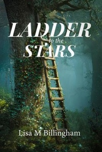 Enlarge image Cover: Ladder to the Stars - Lisa M Billingham