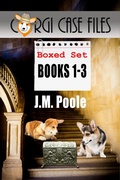 Cover: Corgi Case Files Boxed Set 1-3 - Secret Staircase Books