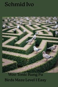 Cover: Birds Maze - BookRix
