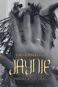 Cover: Jaynie - Silver Shoes