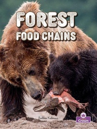 Enlarge image Cover: Forest Food Chains - Crabtree Publishing Company