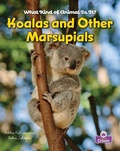 Cover: Koalas and Other Marsupials - Crabtree Publishing Company