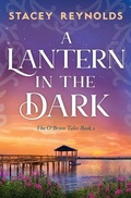 Cover: A Lantern in the Dark - Storm Publishing