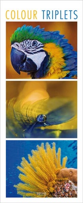 Enlarge image Cover: Colour Triplets 2027 - Korsch Verlag