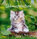 Cover: Schmusekatzen 2027 - Korsch Verlag