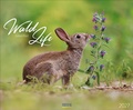 Cover: WaldLife 2027 - Korsch Verlag