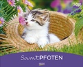 Cover: Samtpfoten 2027 - Korsch Verlag