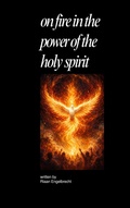 Cover: On Fire in the Power of the Holy Spirit - Riaan Engelbrecht