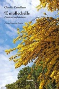 Cover: 'E mullechelle. Poesie in napoletano - Nuove voci. Le piume;Gruppo Albatros Il Filo