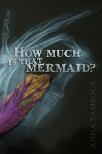 Enlarge image Cover: How Much is That Mermaid? - infinity plus