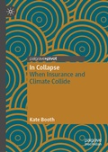 Cover: In Collapse - Palgrave Macmillan