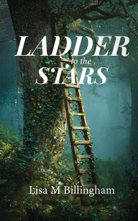 Enlarge image Cover: Ladder to the Stars - Lisa M Billingham