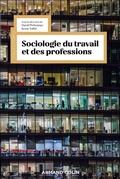 Cover: Sociologie du travail et des professions - Armand Colin