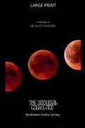 Cover: The Universal Collection - Alberto