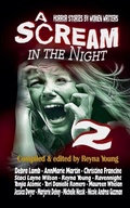 Cover: A Scream in the Night 2 - Black Bed Sheet Books