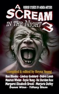 Cover: A Scream in the Night 3 - Black Bed Sheet Books