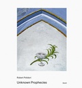 Cover: Unknown Prophecies - Steidl