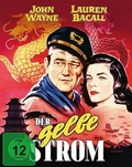 Cover: Der gelbe Strom - Plaion Pictures