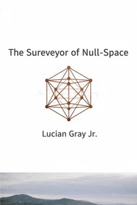 Enlarge image Cover: The Surveyor of Null-Space - Nothing Is Real