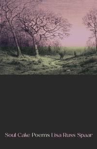 Enlarge image Cover: Soul Cake - Persea