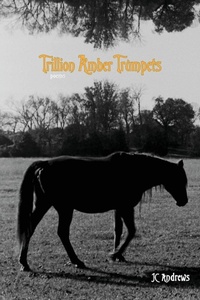 Enlarge image Cover: Trillion Amber Trumpets - Sibling Rivalry Press, LLC