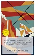 Cover: Bandoleros, Betrayals, and Blue Water - 5 Classic Rogue Adventure Stories - e-artnow Collections