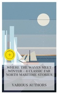 Cover: Where the Waves Meet Winter - 4 Classic Far North Maritime Stories - e-artnow Collections