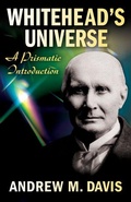 Cover: Whitehead's Universe: A Prismatic Introduction - Orbis Books
