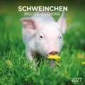 Cover: Schweinchen / Piggies 2027 - Tushita PaperArt GmbH