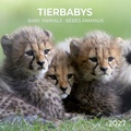 Cover: Tierbabys / Baby Animals 2027 - Tushita PaperArt GmbH