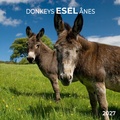 Cover: Esel / Donkeys 2027 - Tushita PaperArt GmbH