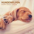 Cover: Hundewelpen / Puppy Dogs 2027 - Tushita PaperArt GmbH