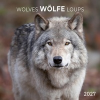Enlarge image Cover: Wölfe / Wolves 2027 - Tushita PaperArt GmbH
